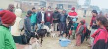 वडा नं. १ मा पि.पि.आर तथा एच.एस.बी.क्यु भ्याक्सिन संचालन गरिएको केही दृष्य।।